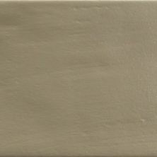 Emser Hues Kale 3" X 10"