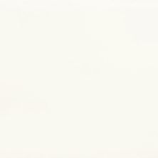 Emser Catch Ivory 3" X 6"