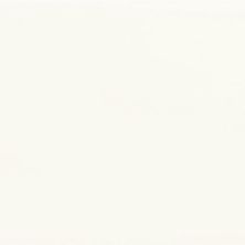 Emser Catch Ivory 4" X 16"