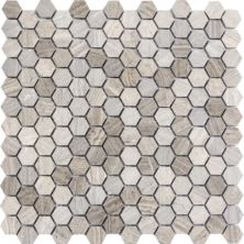 Emser Metro Gray – 1″ Mixed Hexagon Honed M05METRGR1212M1H