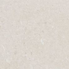 Emser Limestone Presidio Ivory 12″x24″ L03PRESIV1224H