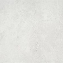 Emser Realm II Assembly 12" X 24"