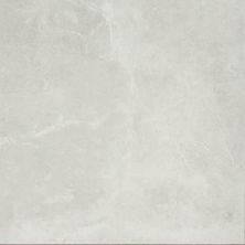 Emser Realm II District 12" X 24"