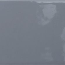 Emser Catch Silicon Glossy 4" X 16"