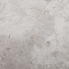 Emser Marble Silver Collection Silver Polished 12″ X 12″ M06MARBSI1212