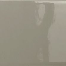 Emser Catch Taupe Glossy 3" X 6"