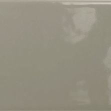 Emser Catch Taupe Glossy 4" X 16"