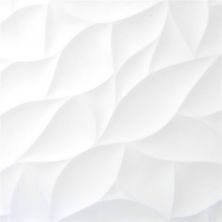 Emser Jazz White Bloom Gloss 12"x24"