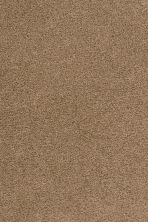 Dream Weaver Big Time Balsam 3135_565