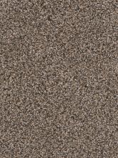 Dream Weaver Reflections III Smokey Taupe 5375_381