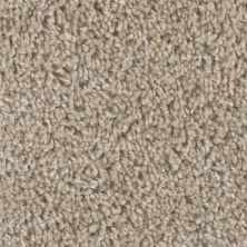 Dream Weaver West Brow Natural Pebble 6035_609