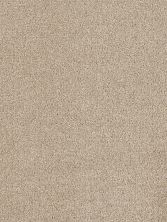 Dream Weaver Hollywood Cashmere 8232_580