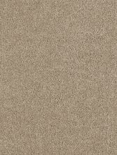 Dream Weaver Hollywood Warm Teak 8232_784