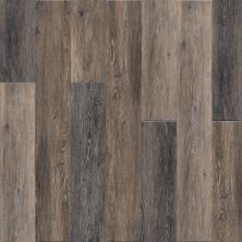 Engineered Floors Triumph® Renewal Mesa Verde R008_8001