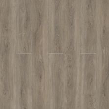 Engineered Floors Triumph® Adventure II Breckenridge R005_5004