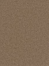 Dream Weaver Cedar Creek Honey Beige 2030_510