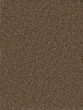 Dream Weaver Cedar Creek Black Walnut 2030_540