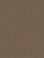 Dream Weaver Cedar Creek Taupe 2030_565