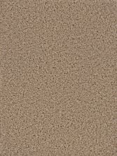 Dream Weaver Cedar Creek Buff 2030_720