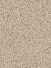 Dream Weaver Cedar Creek Eggshell 2030_730