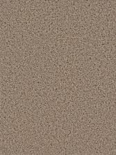 Dream Weaver Cedar Creek Ash 2030_775
