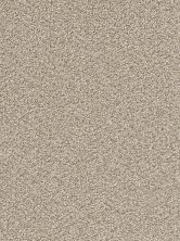 Dream Weaver Cape Cod Dense Texture 2540_858