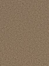 Dream Weaver Broadcast Honey Beige 3025_510