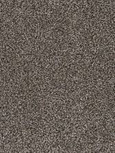 Dream Weaver Trendsetter I Russett 3640_217