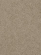 Dream Weaver First Step Biscotti 4160_642