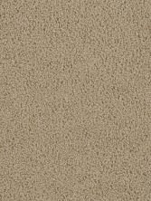 Dream Weaver First Step Chocolate 4160_812