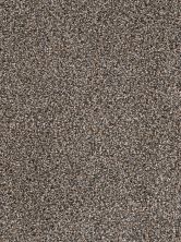Shop Dream Weaver Trendsetter Ii Imperial Sable 3655 134 Carpet Bassett Carpets