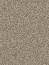 Dream Weaver Can’t Miss Mocha 4748_775