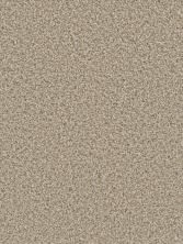 Dream Weaver Can’t Miss Linen 4748_824