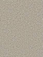 Dream Weaver Can’t Miss Stucco 4748_905