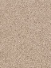 Dream Weaver Cape Cod Dense Texture Sand 2540_710