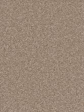 Dream Weaver Cape Cod Dense Texture Quail 2540_725