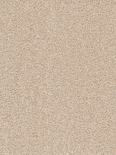 Dream Weaver Cape Cod Dense Texture Blush 2540_735