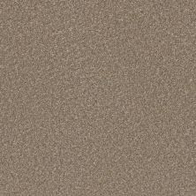 Dreamweaver Extreme Toffee GF1218-2720
