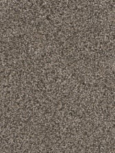 Dream Weaver Reflections I Smokey Taupe 5348_381