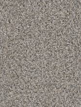 Dreamweaver Reflections II Textured Cut Pile Pavestone 5365_262