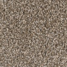 Lifescape Designs Chattooga Texture Toasted Chestnut 6035_385