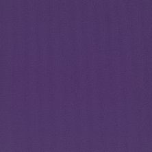 Pentz Commercial Colorburst Plank Royal Purple 7049P_3136