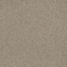 Lifescape Designs Well Done I Textured Cut Pile Outback 7740_298