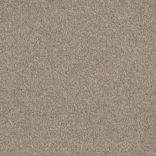 Lifescape Designs Well Done III Textured Cut Pile Outback 7760_298