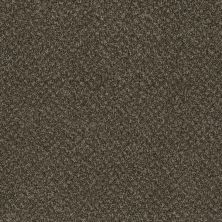 Dream Weaver Toast Of The Town Black & Tan 5315_900