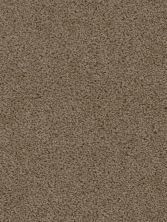 Dream Weaver Sweepstakes Taupe 2200_565