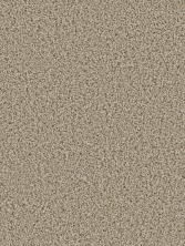 Dream Weaver Cosmopolitan II Ginger 8550_726