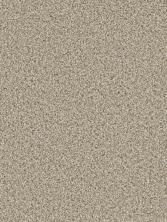 Dream Weaver Cosmopolitan II Linen 8550_824