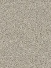 Dream Weaver Cosmopolitan II Stucco 8550_905