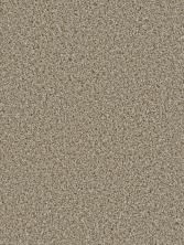 Dream Weaver Cosmopolitan II Tumbleweed 8550_883